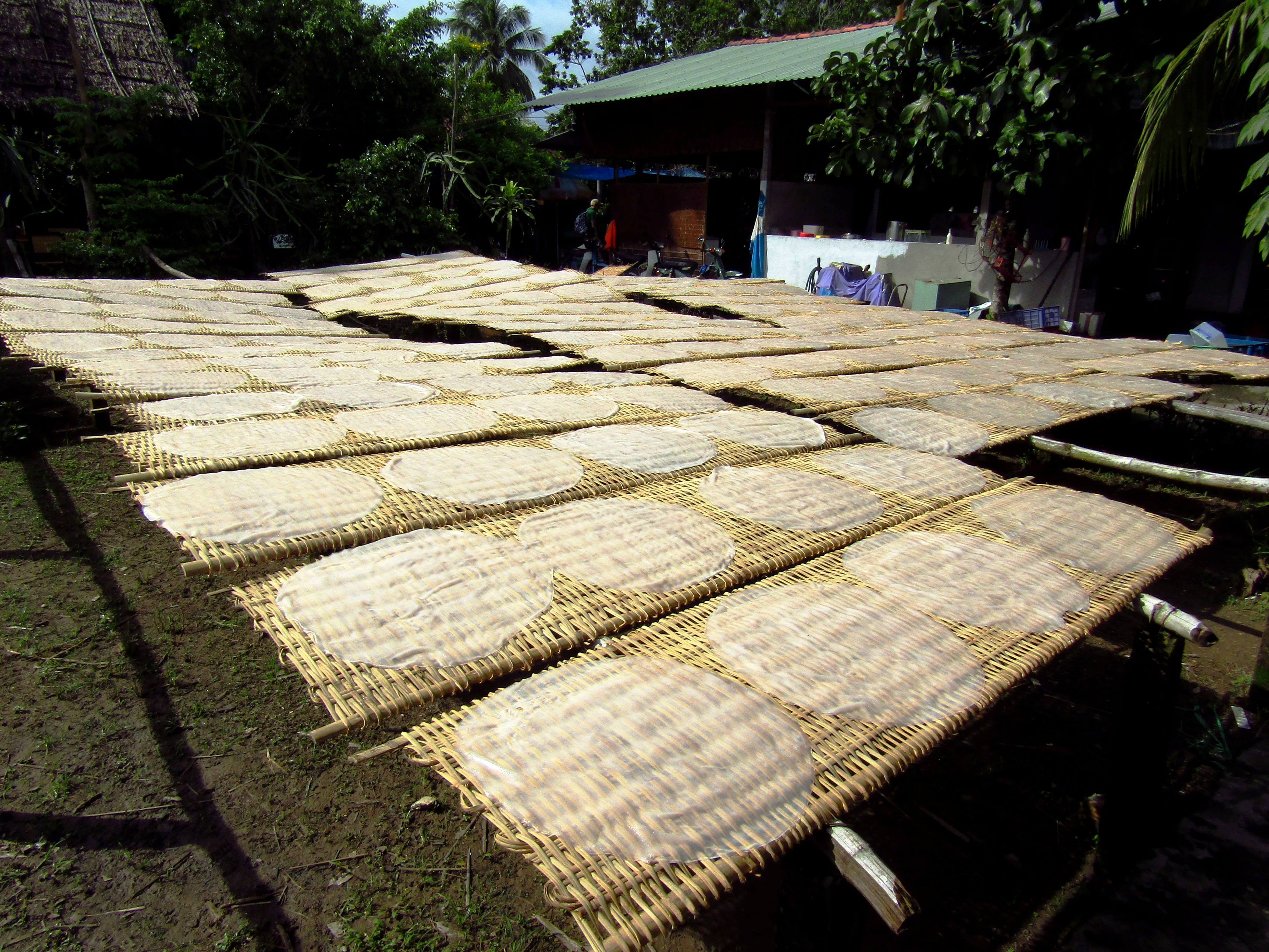 Rice paper production
